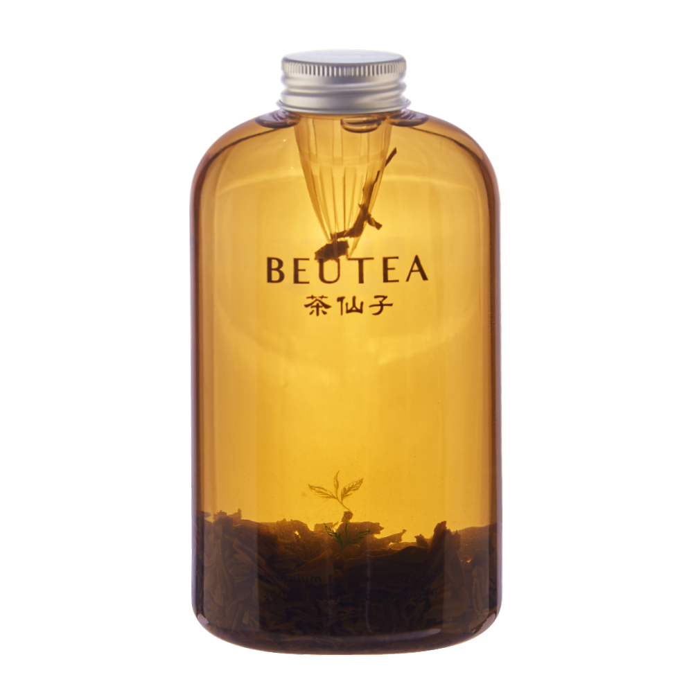 Forest Roasted Cold Brew